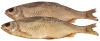 Dried Rudd "Vialenaia Krasnopiorka"